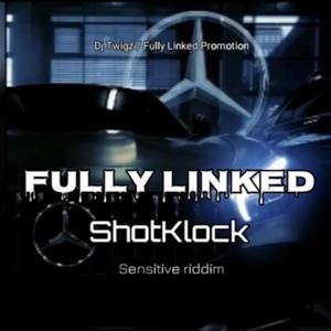 Fullylinked (Radio Edit)