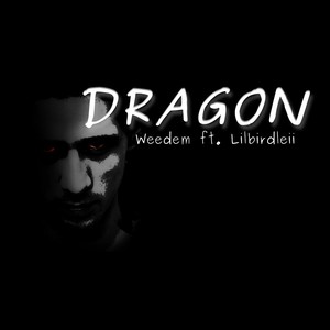 Dragon (feat. Lilbirdleii)