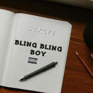 bling bling boy (Explicit)