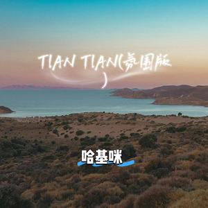TIAN TIAN (氛围版)