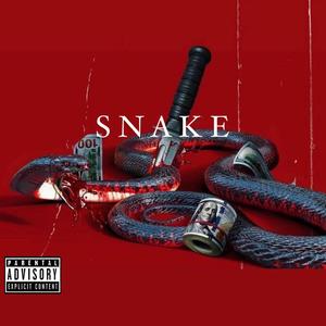 SNAKE (feat. Jackboy_dolla, Melvin & Rod leCœur) [Explicit]