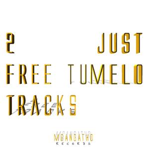 2 Free tracks