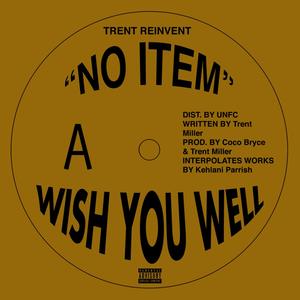 Wish You Well (Explicit)