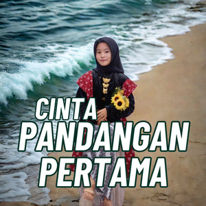 Cinta Pandangan Pertama