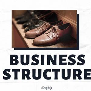 Business Structure (Explicit)