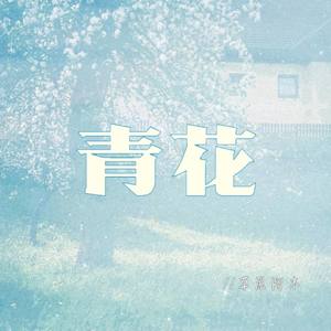 青花 (伴奏)