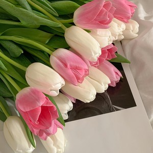 Your Name On the Attendance List