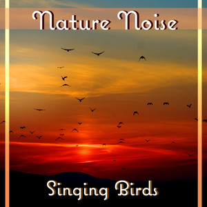 Nature Noise: Singing Birds – Soothing Music for Deep Rest, Yoga & Meditation, Spa & Wellness, Nice Time with Nature Sounds