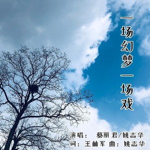 一场幻梦一场戏