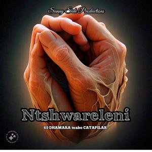 Ntshwareleni (feat. Mabosso the General & Wizmore)