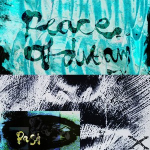 Past (Maara Remix)