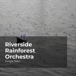 Riverside Rainforest Orchestra