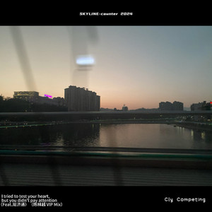 I tried to test your heart, but you didn't pay attention (Feat.周济通) (陈林越 VIP Mix)