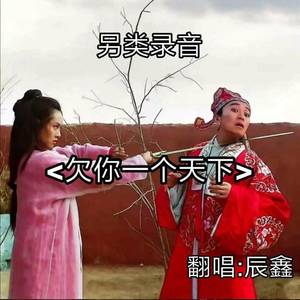 欠你一个天下