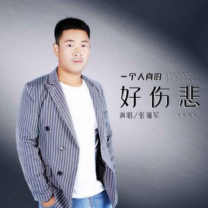 张瑞军 - 一个人真的好伤悲 (DJ默涵男版伴奏)