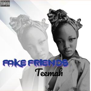 Fake Friends (Explicit)