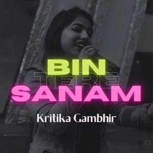 Bin Tere Sanam (Lofi Female Version)