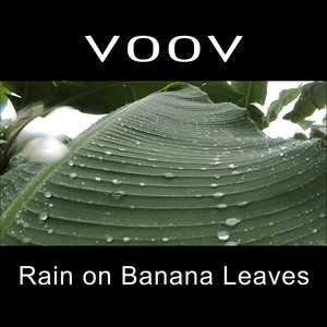 Rain on Banana Leaves
