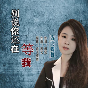 别说你还在等我 (女声版)
