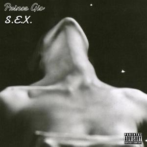 S.E.X. (Explicit)