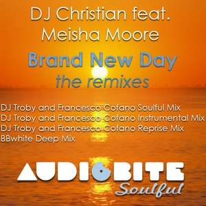 Brand New Day (DJ Troby and Francesco Cofano Instrumental Mix)