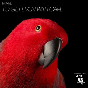 To Get Even with Carl (Ibiza Tech House Mix)