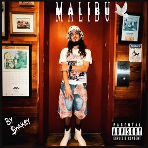 Malibu (Explicit)