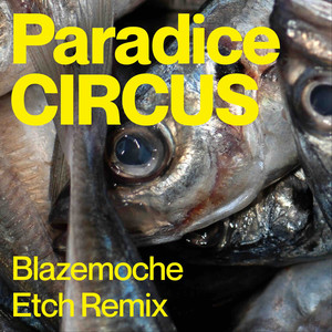 Blazemoche (Etch Remix)
