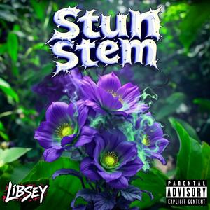 STUN STEM (Explicit)