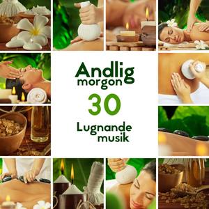 Andlig morgon (30 Lugnande musik - Bäst avkopplande ljud för sömn, Meditation, Mantra, Yoga, Chakra