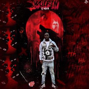 WOLFIN (Explicit)