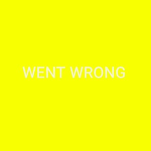 Went Wrong (Explicit)