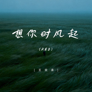 想你时风起 (R&B) - 王奕承封面