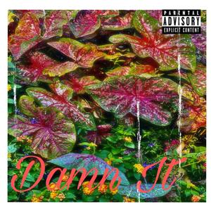 Damn It (Explicit)