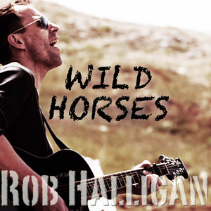 Wild Horses