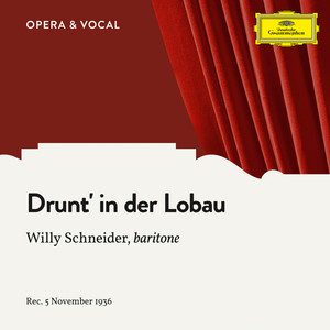 Strecker - Drunt' in der Lobau, Op. 290
