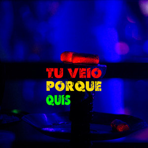 Tu Veio Porque Quis (Explicit)