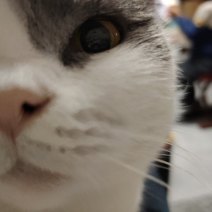 三岁时差2柴鱼璇非