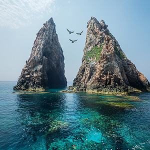 Remote Island Waves and Soft Bird Chirps Relax, Unwind, and Sleep