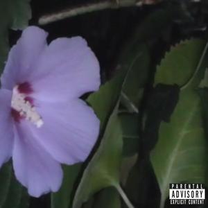 Burial Dog Shelter (Explicit)