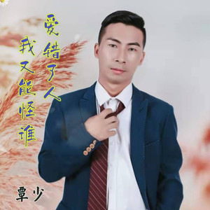 爱错了人我又能怪谁