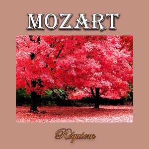 Requiem in G Minor, K. 626 - V. Rex tremendae