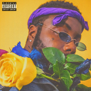 Vibrations (Explicit)