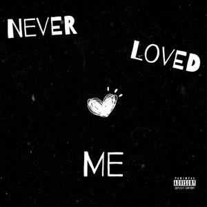 Never Loved me Freestyle (Explicit)