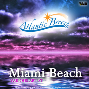 Miami Beach Various Artists