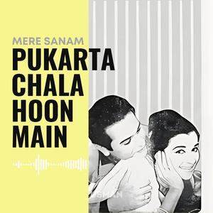 Pukarta Chala Hoon Main