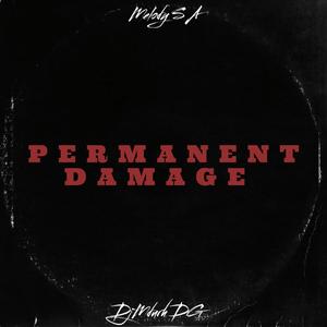 Permanent Damage (feat. DjMdurh DG)