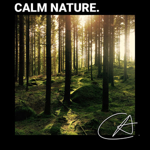 Night Crickets in Forests sound helps you to read a book and relax