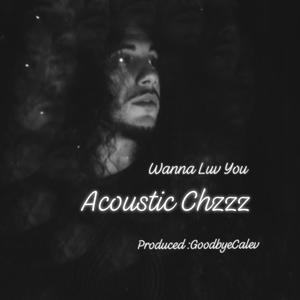 Wanna Luv You (Explicit)