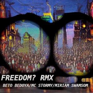 Freedom? Rmx (feat. MC Stormy & Miriam Swamsom)